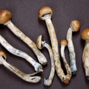 Psilocybin